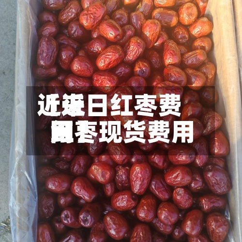 近来【近日红枣费用红枣现货费用网】