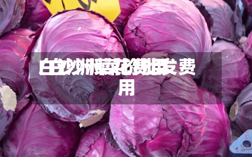 白沙洲菜花费用/白沙洲菜价批发费用