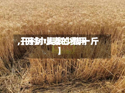 【开封小麦的费用
,开封小麦多少钱一斤】-第2张图片