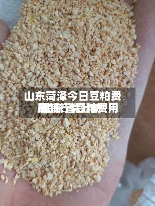 山东菏泽今日豆粕费用/山东省豆粕费用最新行情分析