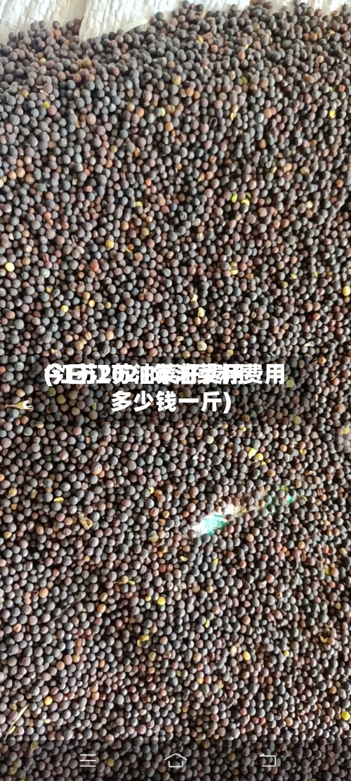 今日江苏油菜籽费用(江苏2021年油菜籽费用多少钱一斤)