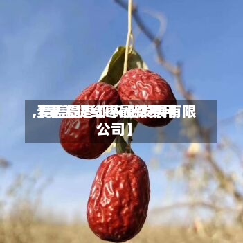 【麦盖提红枣最新费用
,麦盖提枣都农业发展有限公司】-第2张图片