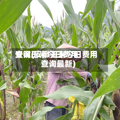 安徽玉米今日费用
查询(安徽玉米今日费用
查询最新)-第2张图片
