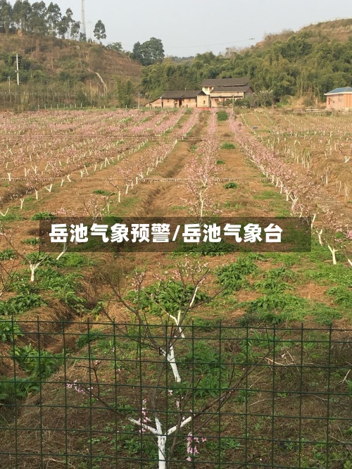 岳池气象预警/岳池气象台