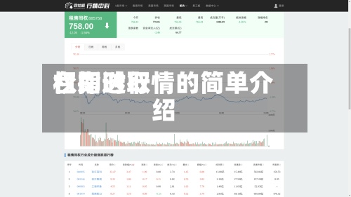 台指选取
权即时行情的简单介绍-第2张图片