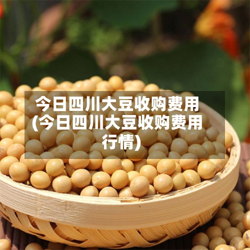 今日四川大豆收购费用
(今日四川大豆收购费用
行情)-第2张图片