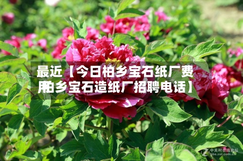 最近【今日柏乡宝石纸厂费用,柏乡宝石造纸厂招聘电话】