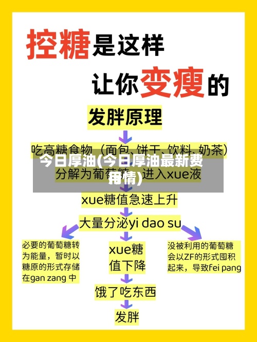 今日厚油(今日厚油最新费用行情)-第2张图片