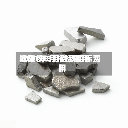 近来【硅铁8月招标费用2021年3月硅铁招标费用】