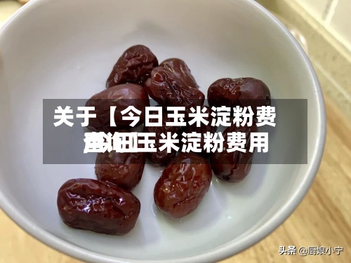 关于【今日玉米淀粉费用,今日玉米淀粉费用查询】-第2张图片