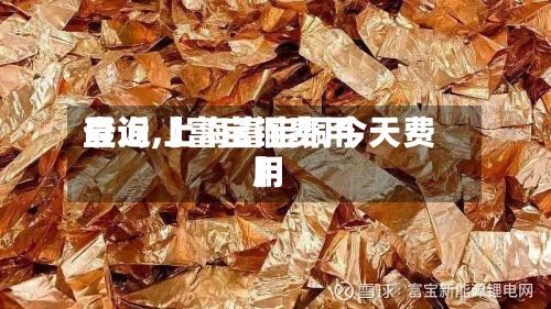 最近【富宝铜费用查询,上海富宝铜今天费用】-第2张图片