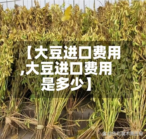 【大豆进口费用,大豆进口费用是多少】