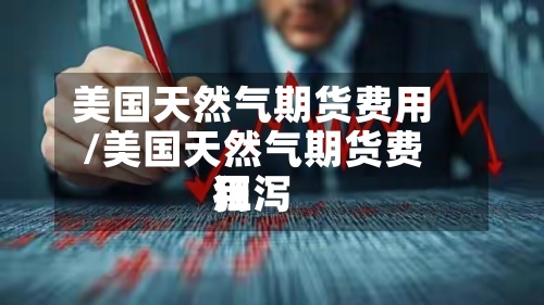美国天然气期货费用
/美国天然气期货费用
狂泻-第3张图片