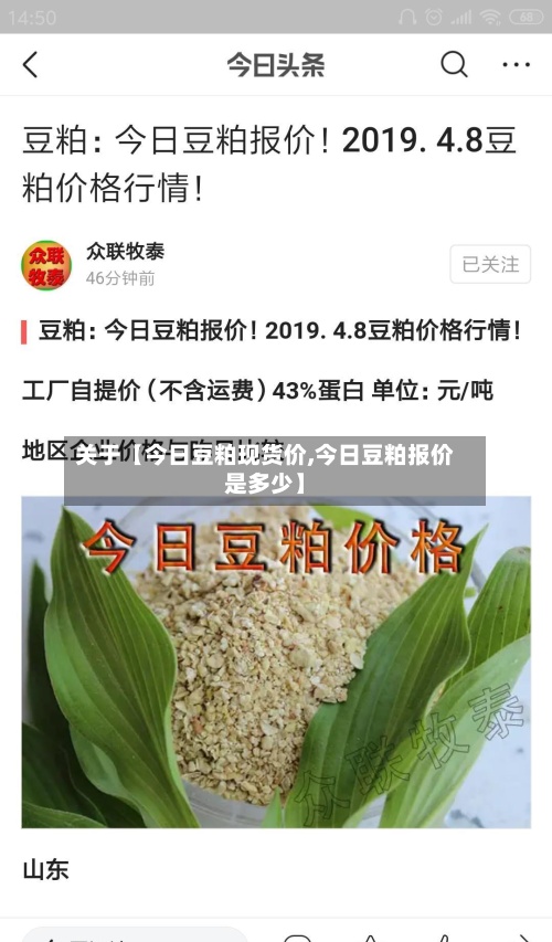 关于【今日豆粕现货价,今日豆粕报价是多少】