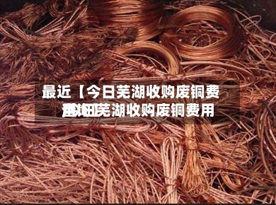 最近【今日芜湖收购废铜费用,今日芜湖收购废铜费用查询】-第2张图片