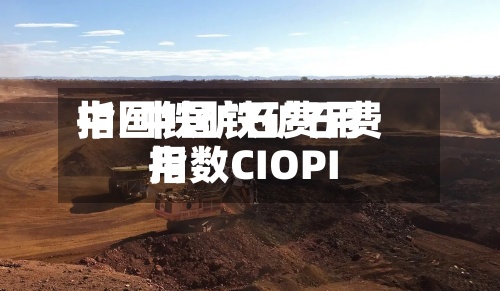 中国铁矿石费用指/中国铁矿石费用指数CIOPI