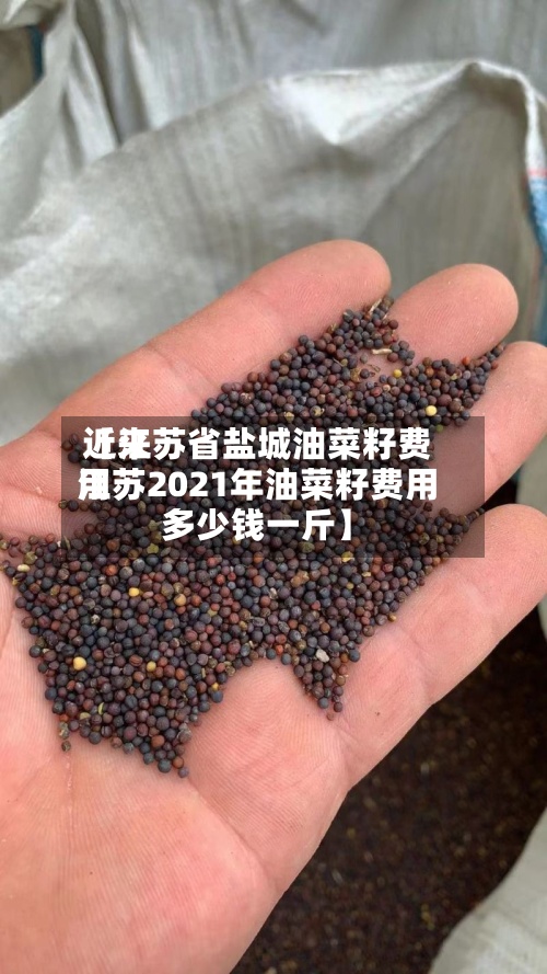 近来【江苏省盐城油菜籽费用江苏2021年油菜籽费用多少钱一斤】