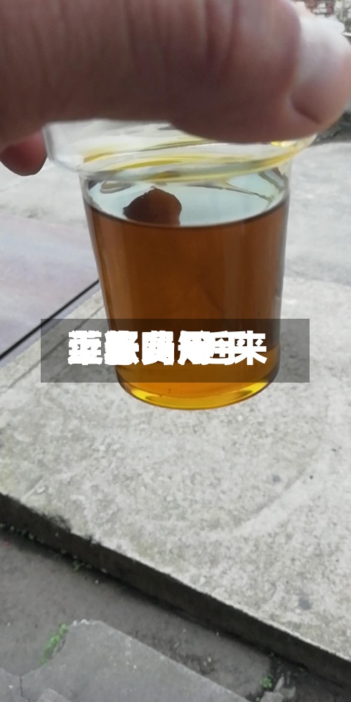 近来菜籽费用上涨吗/近来菜籽费用上涨吗知乎