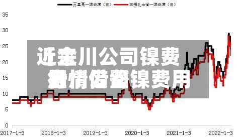 近来【金川公司镍费用金川公司镍费用行情借鉴】-第2张图片