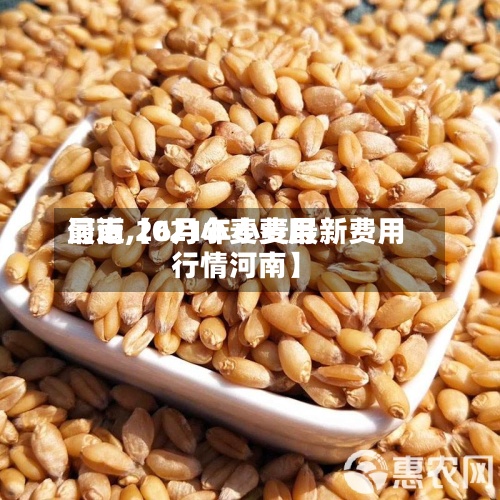 最近【6月小麦费用河南,2021年小麦最新费用行情河南】