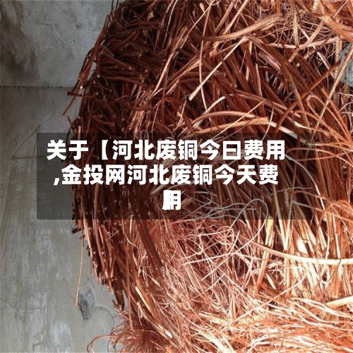 关于【河北废铜今曰费用,金投网河北废铜今天费用】