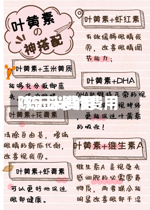 陈玉米费用/陈玉米的费用