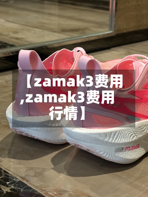 【zamak3费用
,zamak3费用
行情】-第3张图片