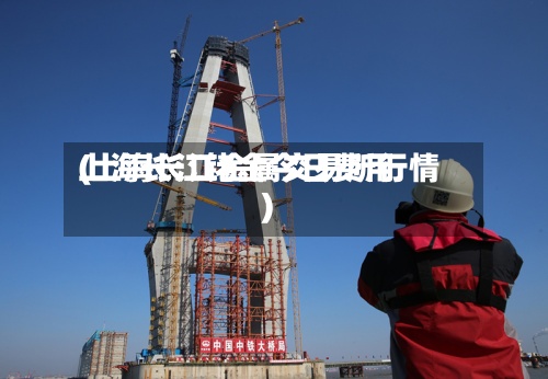 上海长江铑金今日费用
(上海长江金属交易所行情)-第3张图片
