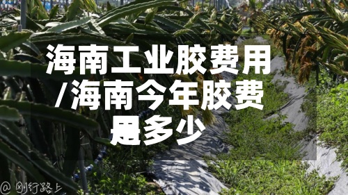 海南工业胶费用/海南今年胶费用是多少-第2张图片