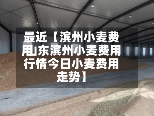 最近【滨州小麦费用,山东滨州小麦费用行情今日小麦费用走势】