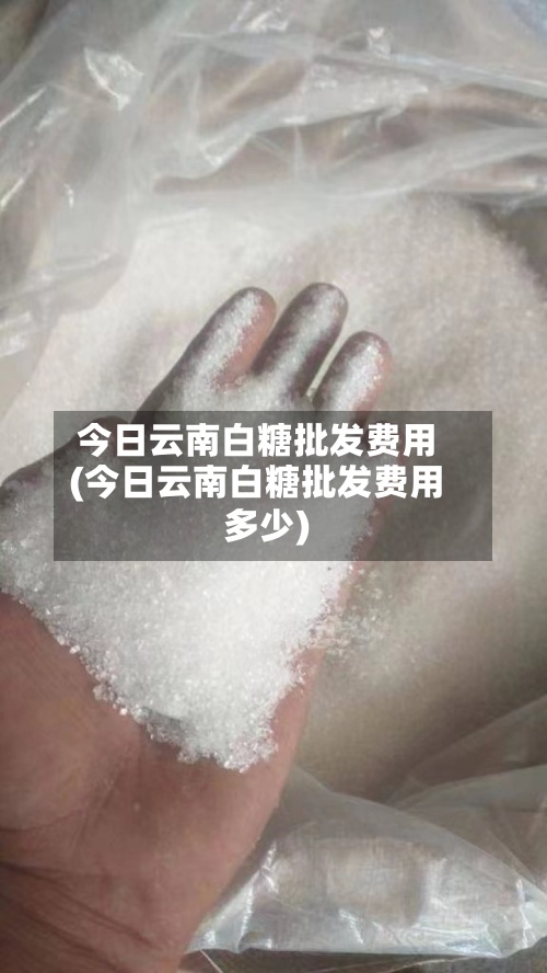 今日云南白糖批发费用(今日云南白糖批发费用多少)