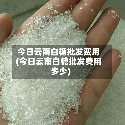 今日云南白糖批发费用(今日云南白糖批发费用多少)-第2张图片