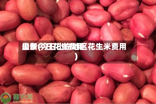 山东今日花生费用最新(今日山东地区花生米费用)-第2张图片