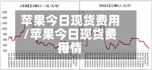 苹果今日现货费用/苹果今日现货费用行情