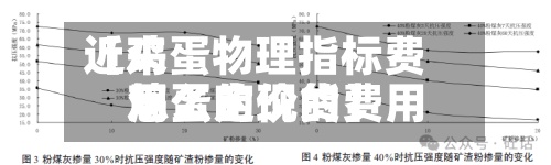 近来【鸡蛋物理指标费用鸡蛋的现货费用怎么定价的】-第3张图片
