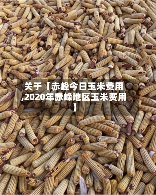 关于【赤峰今日玉米费用,2020年赤峰地区玉米费用】-第2张图片