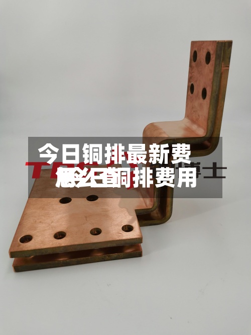 今日铜排最新费用/今日铜排费用怎么查-第3张图片