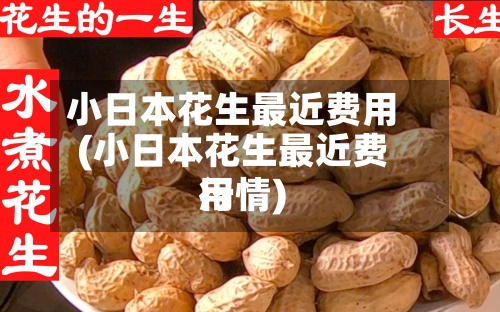 小日本花生最近费用(小日本花生最近费用行情)-第2张图片