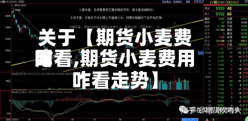 关于【期货小麦费用咋看,期货小麦费用咋看走势】-第3张图片