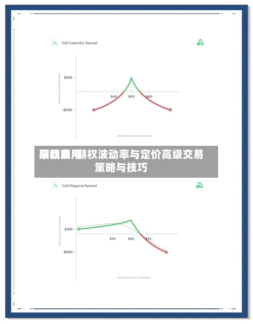 期权费用波动率/期权波动率与定价高级交易策略与技巧