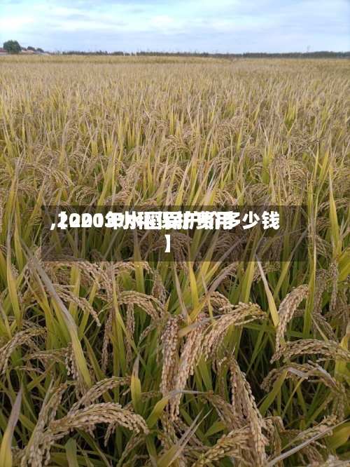 【2013水稻保护费用
,2020年水稻保护价多少钱】-第2张图片