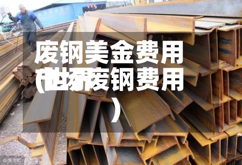 废钢美金费用(世界市场废钢费用)-第3张图片