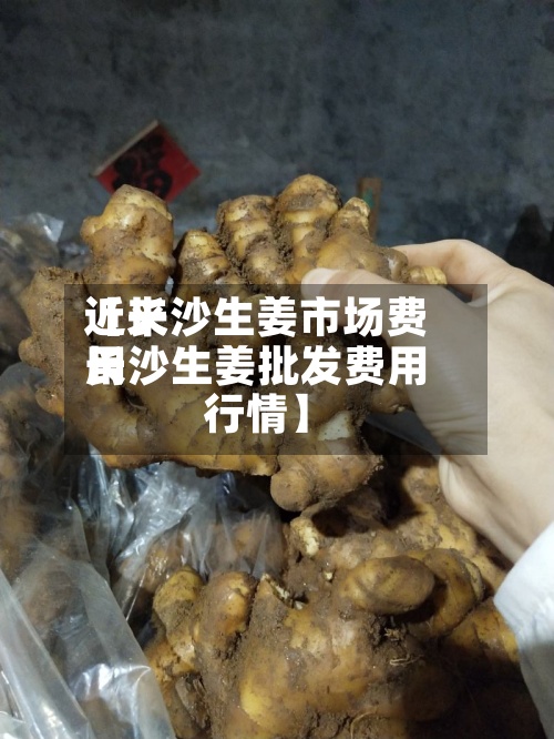 近来【长沙生姜市场费用长沙生姜批发费用行情】