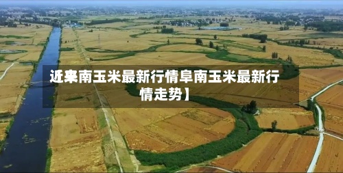 近来【阜南玉米最新行情阜南玉米最新行情走势】-第2张图片