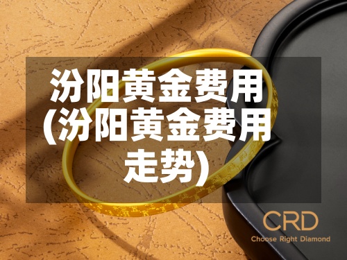 汾阳黄金费用(汾阳黄金费用走势)