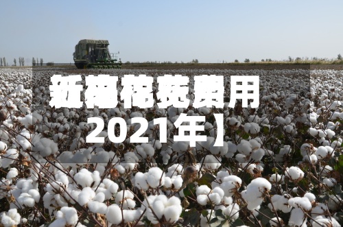 近来【棉花费用新高棉花费用2021年】-第2张图片
