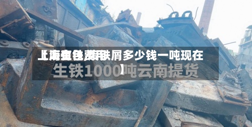 【废生铁费用上海有色,废铁屑多少钱一吨现在】-第2张图片