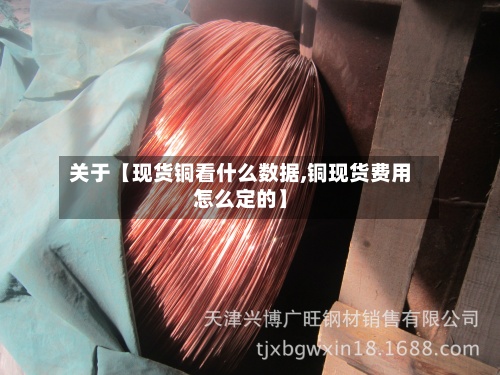 关于【现货铜看什么数据,铜现货费用怎么定的】