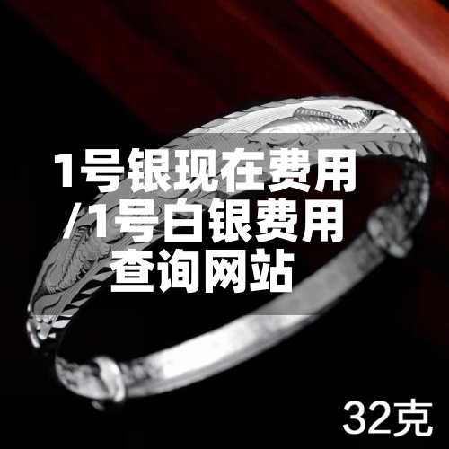 1号银现在费用/1号白银费用查询网站
