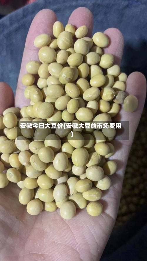 安徽今日大豆价(安徽大豆的市场费用)-第3张图片